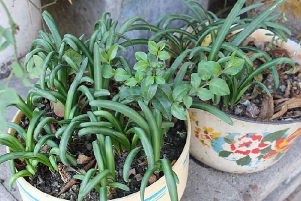 С������