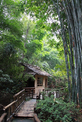 ����С��