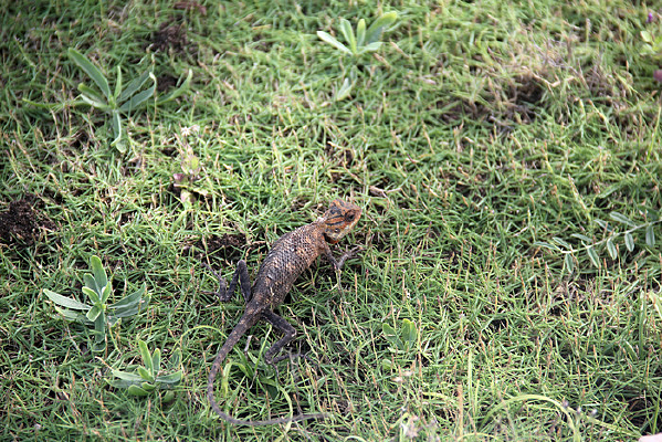 �ݵ��ϵ�����