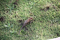 �ݵ��ϵ�����