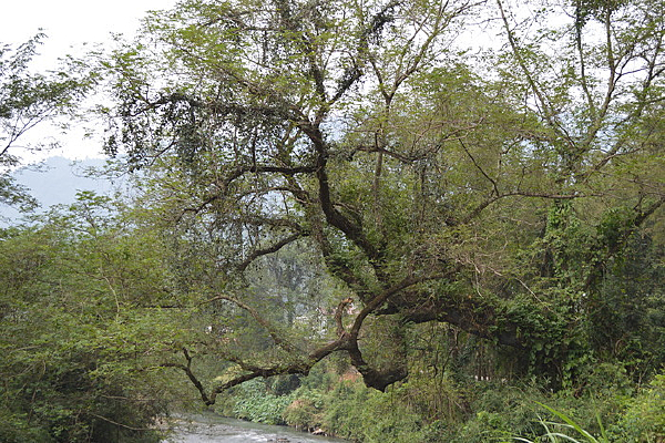 ֦������