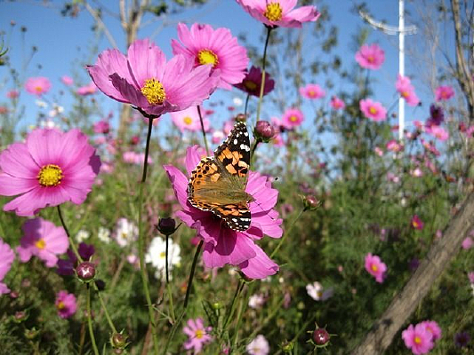 ��ɣ���ϵĺ���