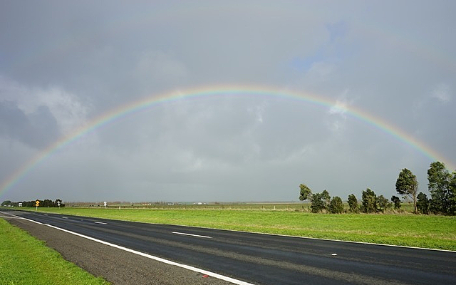 ��԰�Ͽղʺ�