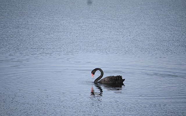 ���к����