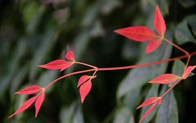 һ��һ����ɫ��