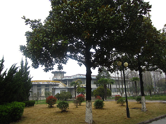 ����������ѧ