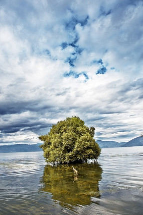 ���е�һ����