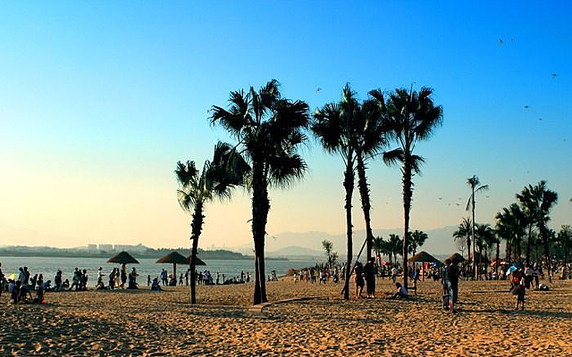 �������ֲ԰���۷��