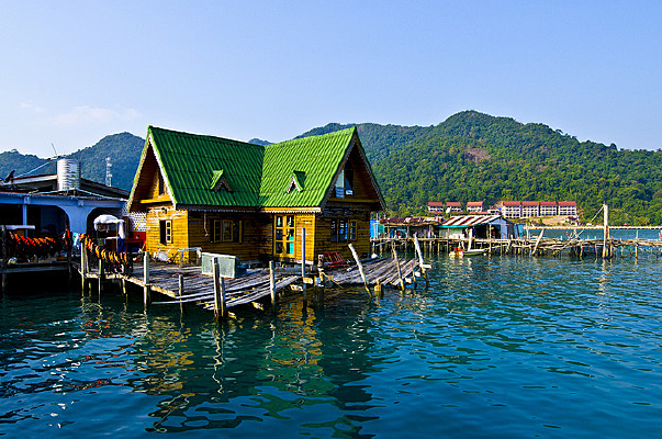 ����Сľ��