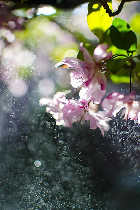 ��ʰ�쵵Ļ���