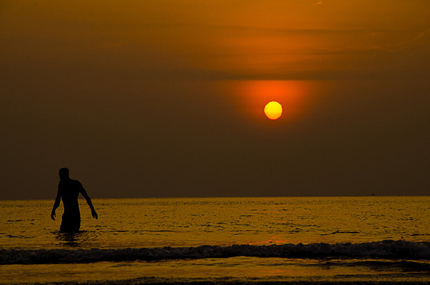 Ϧ������