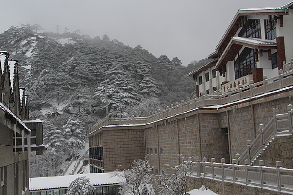 ɽ���ı���