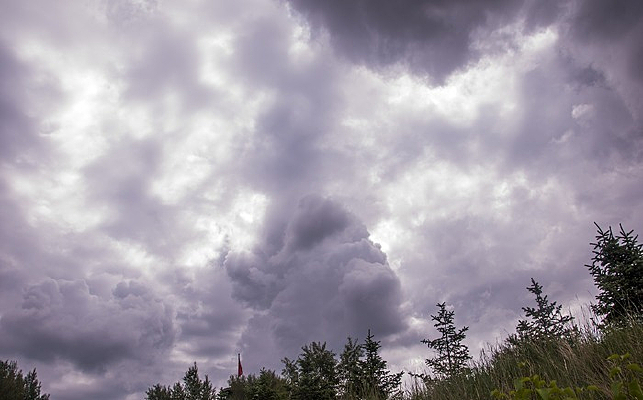 �����ܲ�