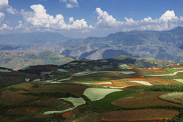 ���϶���������