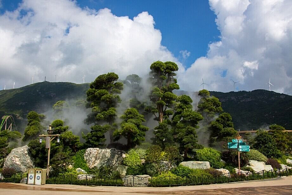 ������ľ����