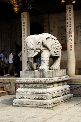 �����ſ�