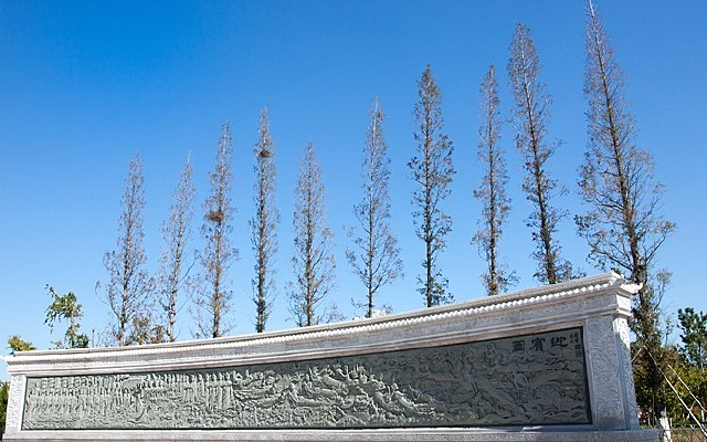 ��̲����