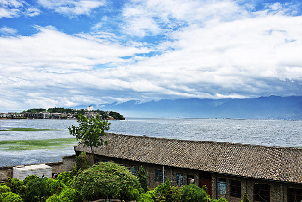 ˫�ȶ������