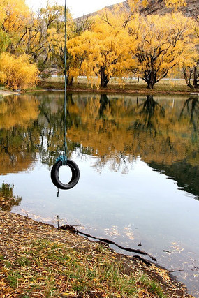 ������ɫ