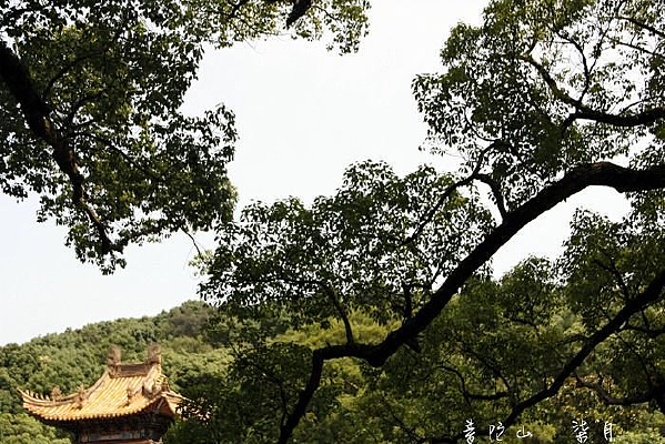 ����ɽ����