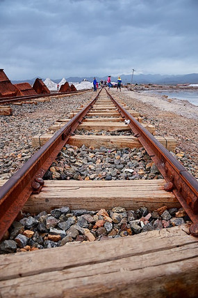 ��·������ľ