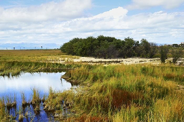 ��ԭ��С����