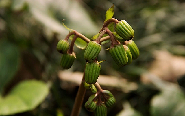 һ������ʵ