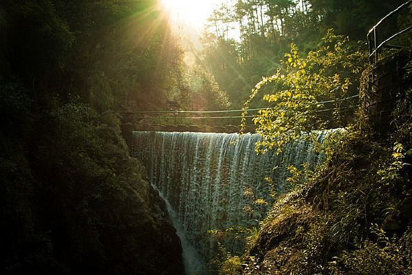 ɭ���г���