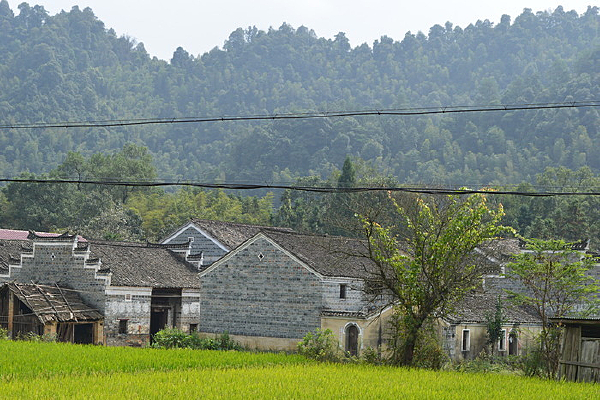 ��ׯ�뵾��