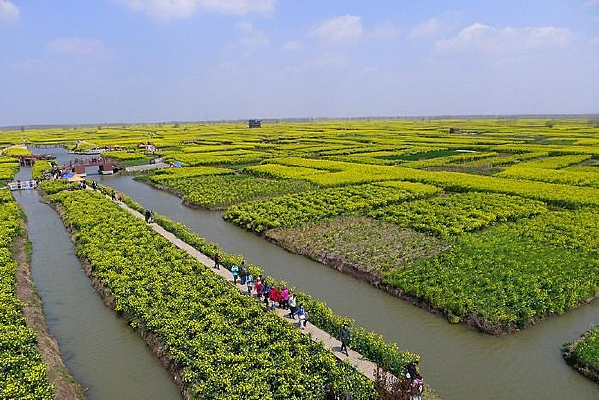 �˻�ǧ���Ͳ˻���