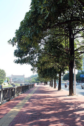 ̫����Ӱ��