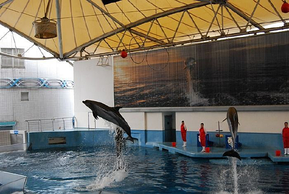 ���ݺ����