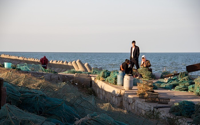 ��������