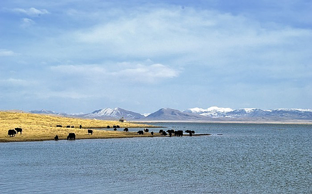 ѩɽ�ݵغ���