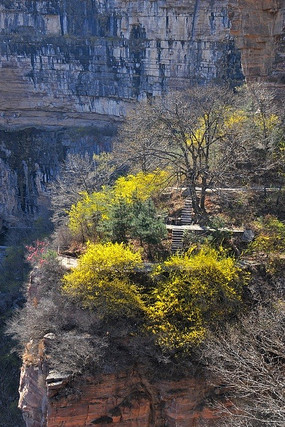 �ƻ�����