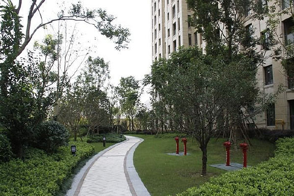 ��¡����