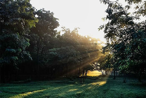 ��ɫ����ݵ�