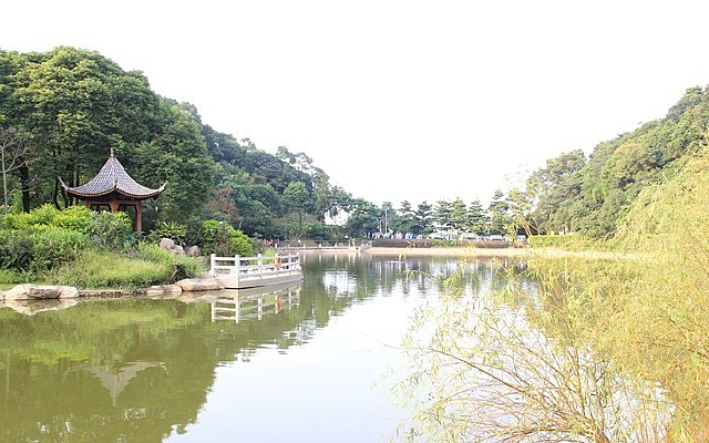 ����������ɫ