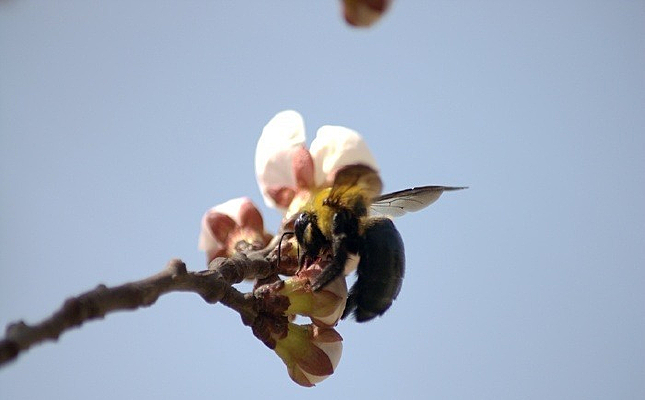 �ӻ�����