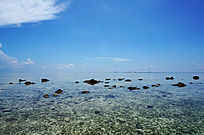 ͸������