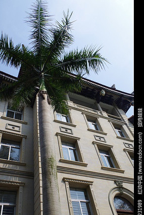 ���Ż��Ȳ����