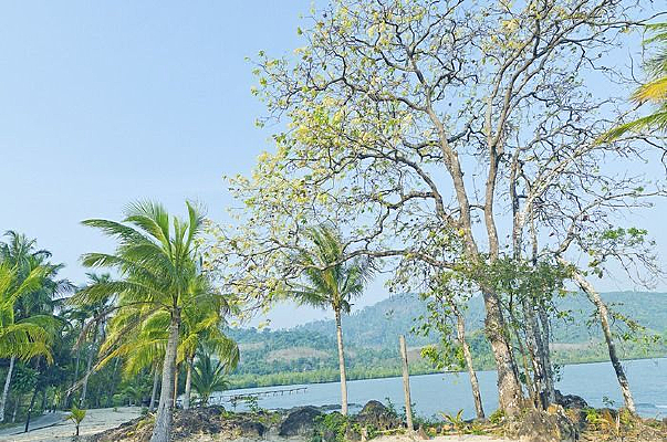 Ҭ�ӵ�����