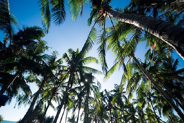 ������Ҭ����