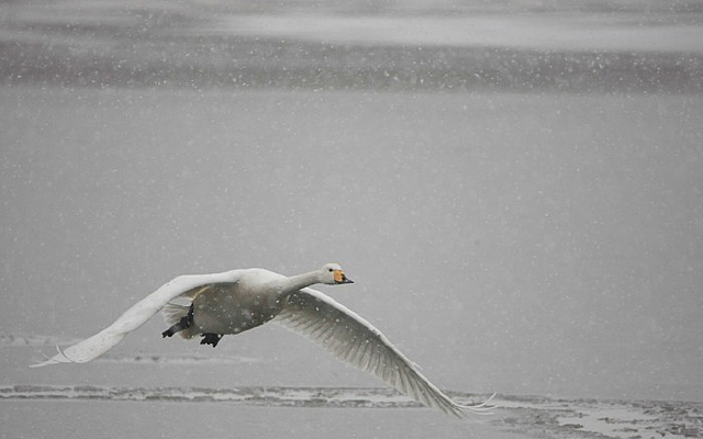 �������