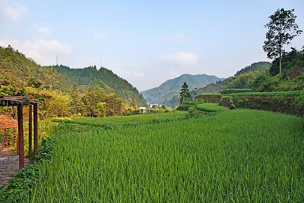 ������԰���