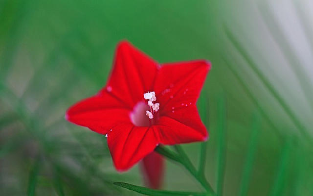 ���Ȼ�΢��