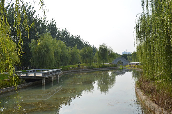 ѧУ������