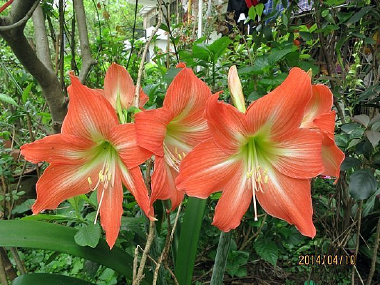 �������