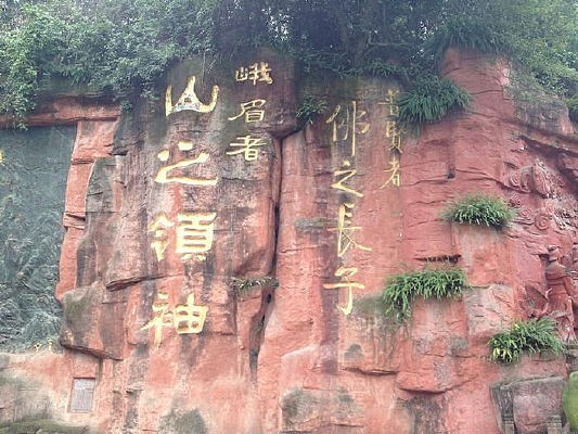 ��üɽ����