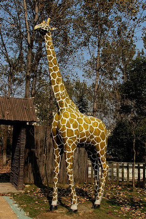 ����¹����